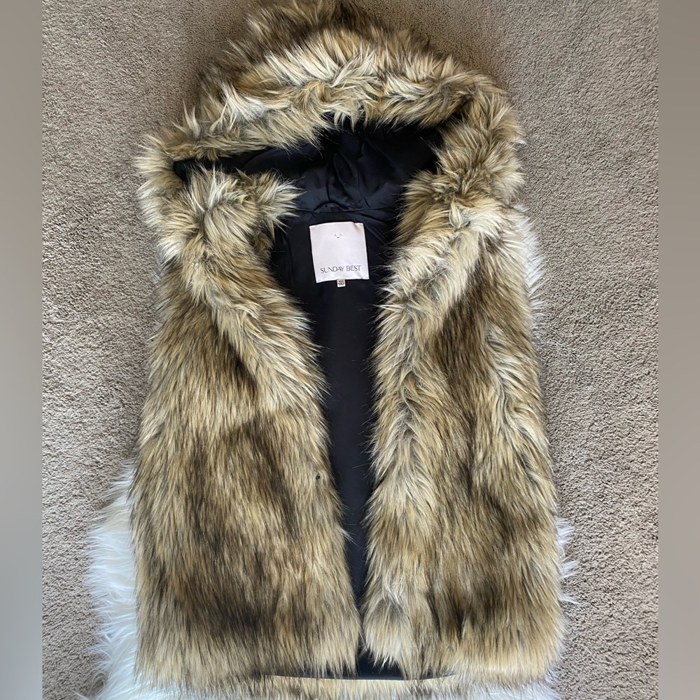 Sunday Best (Aritzia) Faux Fur hooded vest